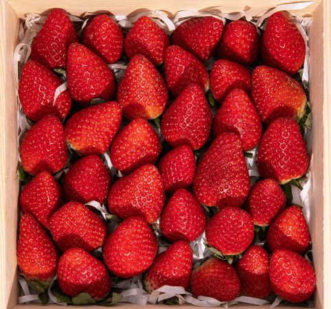 Organic Strawberry
