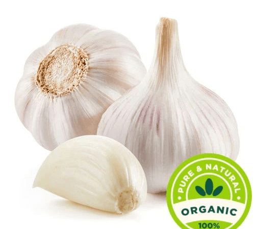 Organic Garlic