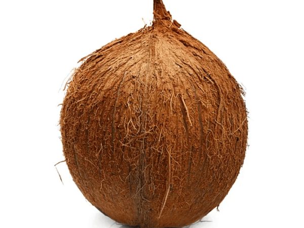 Cococnut Bag