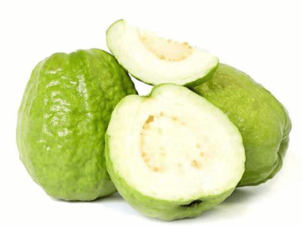 Guava