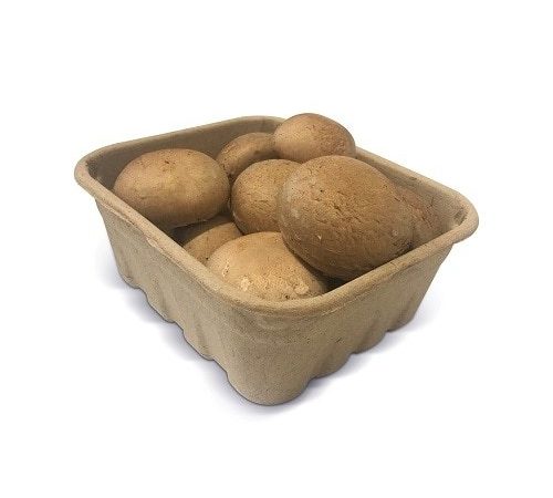 Brown Button Mushroom