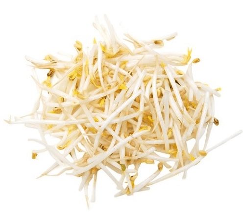 Beans Sprout