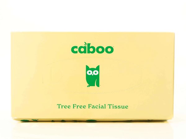 Flat Box Facial Tissue 120ct 3ply