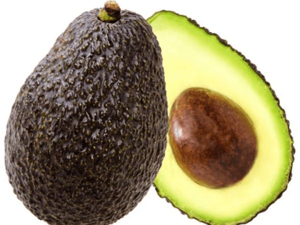 Avocado Hass