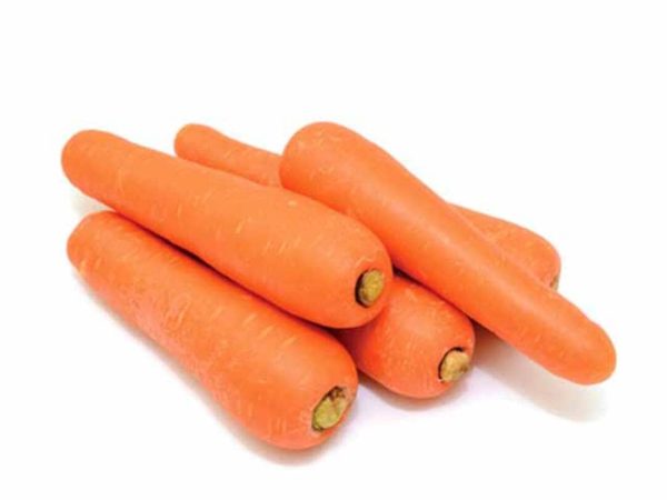 Carrot