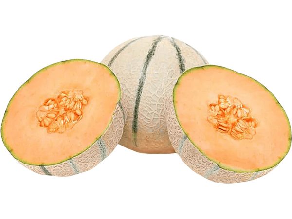Rock Melon