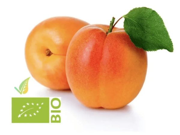 Organic Heirloom Apricot
