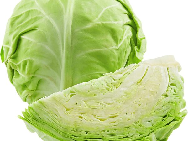 White Cabbage