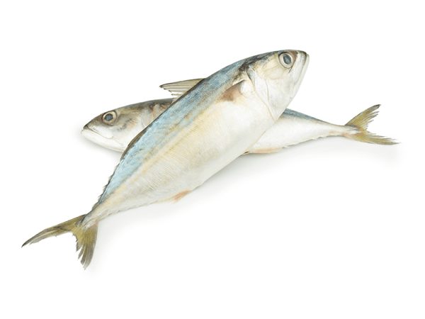 Fresh Naiser Big